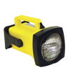 Link to Halogen Flood or Spot Rechargeable Lights.